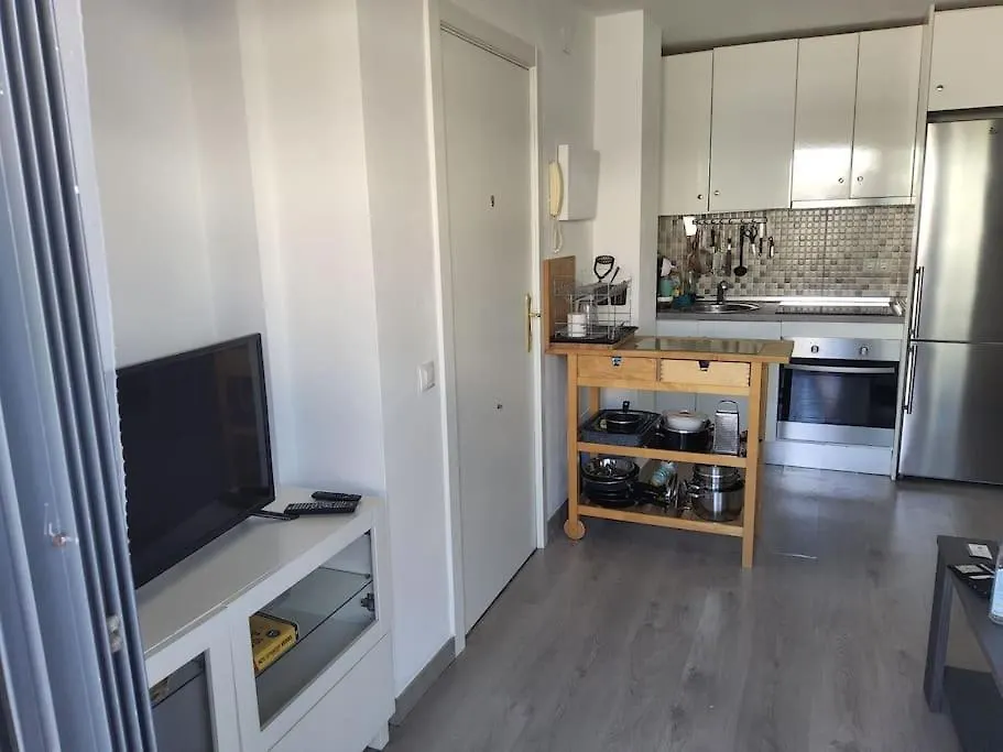 The 2 Bed-Roof Terrace-Apartment Malaga Apartment